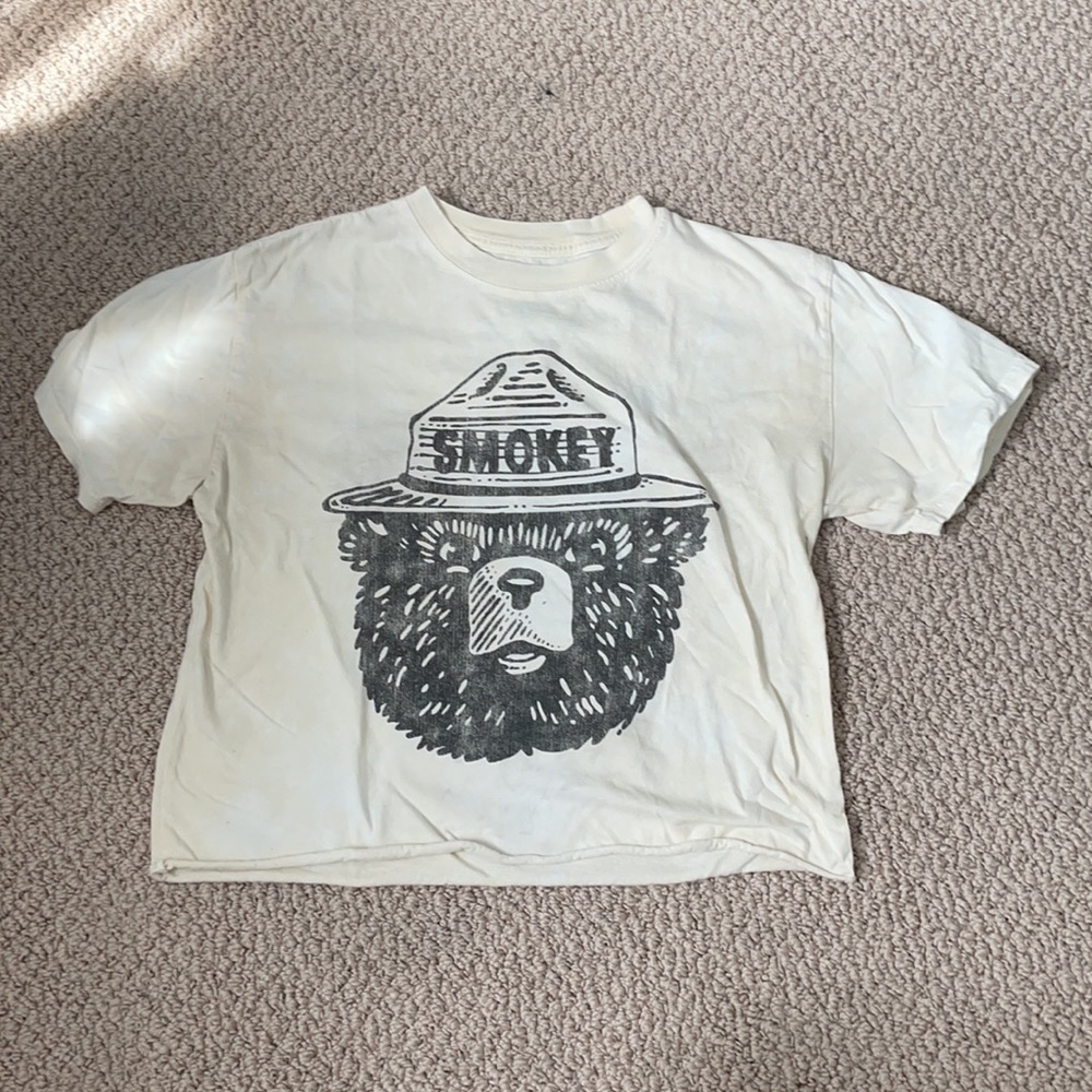 Smokey the bear crop top